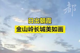 米兰CEO：冬窗会进行必要的引援 我对伊布的新冒险感到乐观